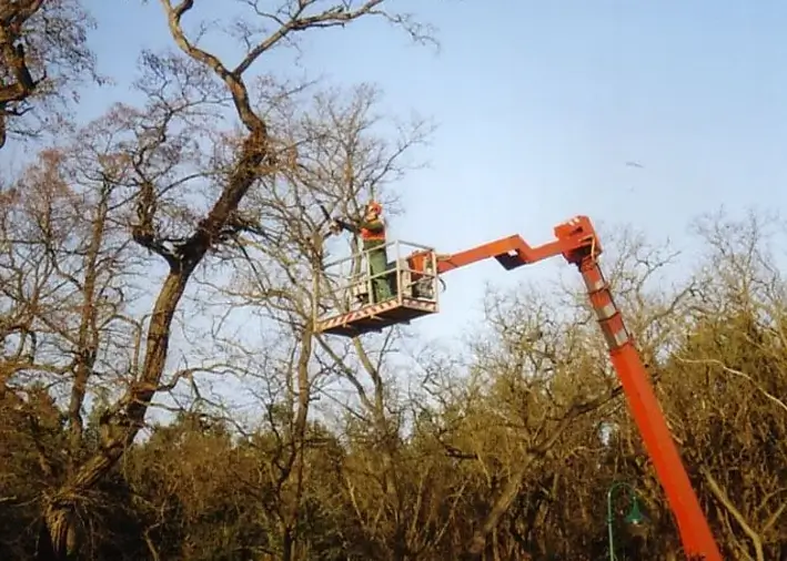 Landschaftspflege Baumschnitt mit einem Kran
