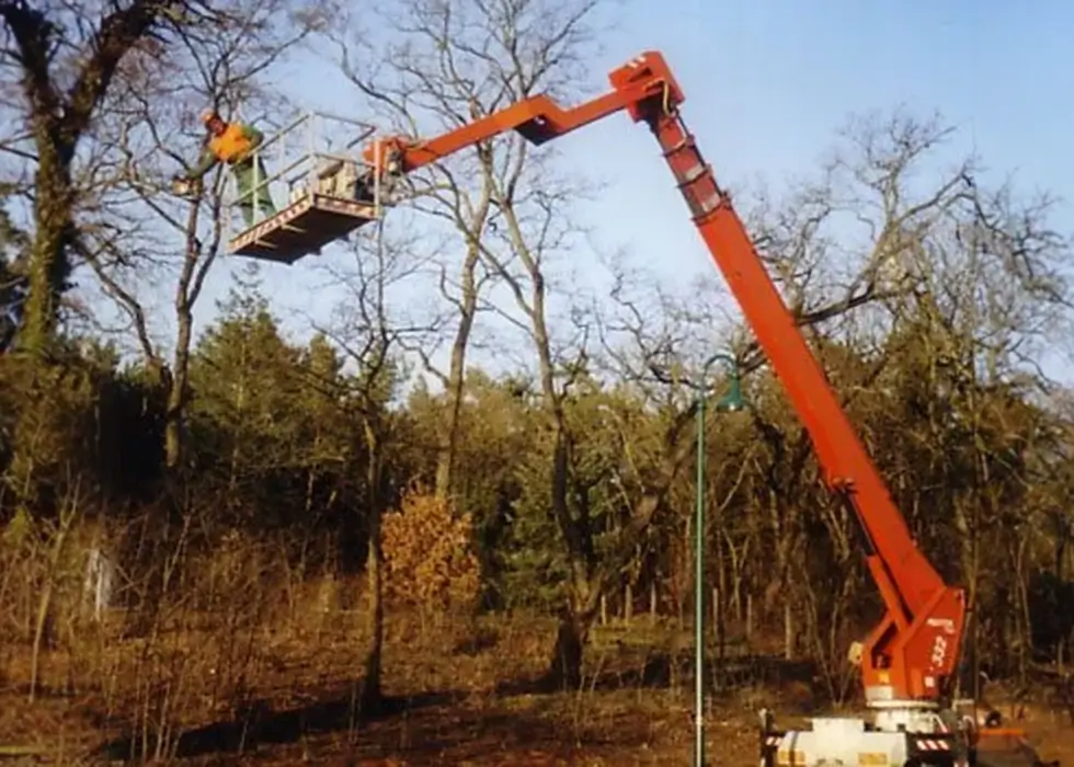 Ein Mitarbeiter steht auf einem großen Kran und schneidet Äste an einem Baum in großer Höhe ab