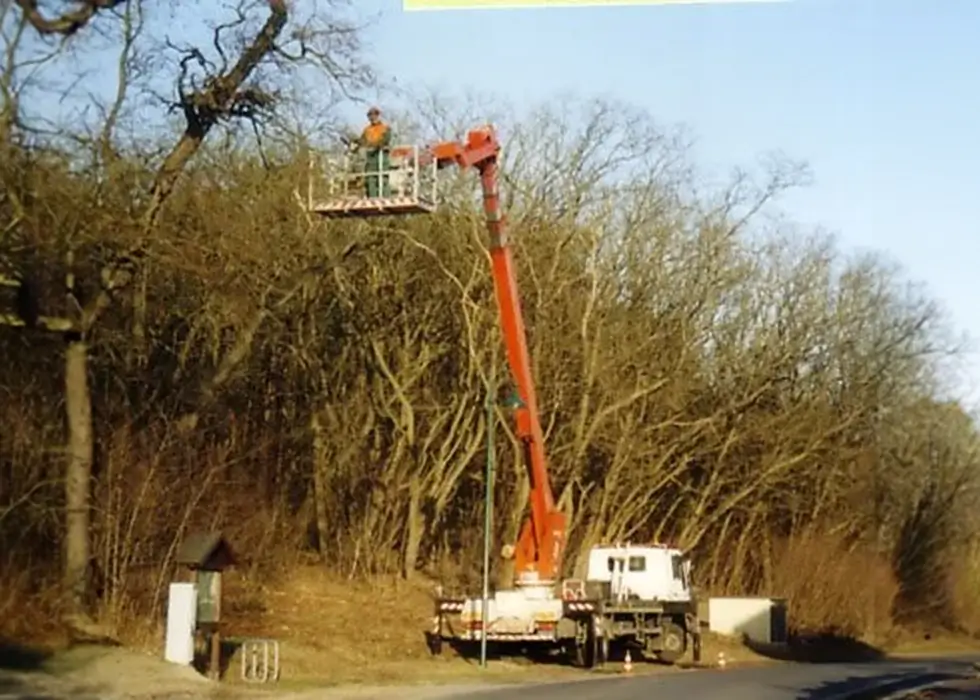 Ein Mitarbeiter steht auf einem großen Kran und schneidet Äste an einem Baum in großer Höhe ab