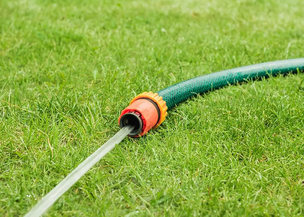 Schlauch mit Wasserstrahl/Schlauch mit Wasserstrahl auf dem grünen Rasen