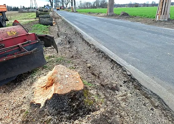 Stubben fräsen am Fahrbahnrand